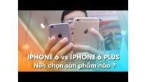 Tư vấn iPhone 6 và iPhone 6 Plus - Nên chọn mua sản phẩm nào? Tư vấn iPhone 6 và iPhone 6 Plus - Nên chọn mua sản phẩm nào?