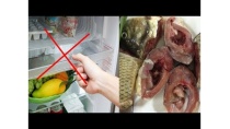 7 Thực Phẩm Tuyệt Đối Không Để Trong Tủ Lạnh Kẻo Biến Chất Ngộ Độc: Ai Cũng Phải Biết! 7 Thực Phẩm Tuyệt Đối Không Để Trong Tủ Lạnh Kẻo Biến Chất Ngộ Độc: Ai Cũng Phải Biết!