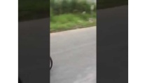 Mua bán xe máy cũ gia lai Mua bán xe máy cũ gia lai