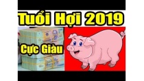 Tử Vi Tuổi Hợi 2019 Cực Giàu Trở Thành Đaị Gia Đổi Đời Thành Tỷ Phú Tử Vi Tuổi Hợi 2019 Cực Giàu Trở Thành Đaị Gia Đổi Đời Thành Tỷ Phú