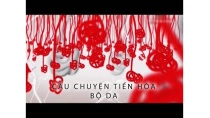 Câu chuyện tiến hóa : BỘ DA | Phim tài liệu khoa học (Thuyết Minh) Câu chuyện tiến hóa : BỘ DA | Phim tài liệu khoa học (Thuyết Minh)