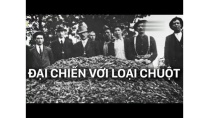 Cuộc chiến giữ người và chuột | Phim khoa học | Khám phá thế giới (Thuyết Minh) Cuộc chiến giữ người và chuột | Phim khoa học | Khám phá thế giới (Thuyết Minh)