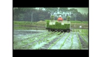 Nông nghiệp Nhật Bản thật tuyệt vời Nông nghiệp Nhật Bản thật tuyệt vời