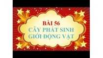Sinh học lớp 7 - Bài 56 - Cây phát sinh giới động vật Sinh học lớp 7 - Bài 56 - Cây phát sinh giới động vật