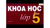 Khoa học lớp 5, Bài 57, Sự sinh sản của ếch, thuan mai, khoa học Khoa học lớp 5, Bài 57, Sự sinh sản của ếch, thuan mai, khoa học