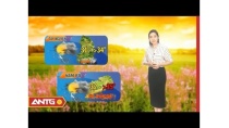 Dự báo thời tiết ngày mai 15/04/2019 | Bản tin Thời tiết mới nhất | ANTG Dự báo thời tiết ngày mai 15/04/2019 | Bản tin Thời tiết mới nhất | ANTG