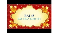 Sinh học lớp 8 - Bài 45 - Dây thần kinh tủy Sinh học lớp 8 - Bài 45 - Dây thần kinh tủy