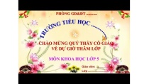 Bài giảng môn Khoa học lớp 5 tuần 27: Cây con có thể mọc lên từ một số bộ phận của cây mẹ Bài giảng môn Khoa học lớp 5 tuần 27: Cây con có thể mọc lên từ một số bộ phận của cây mẹ