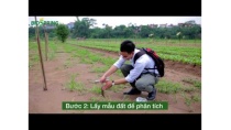 Ứng dụng công nghệ Nhật Bản trong cải tạo đất trồng Ứng dụng công nghệ Nhật Bản trong cải tạo đất trồng
