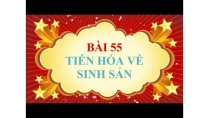 Sinh học lớp 7 - Bài 55 - Tiến hóa về sinh sản Sinh học lớp 7 - Bài 55 - Tiến hóa về sinh sản