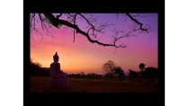 THIỀN BUÔNG THƯ BÀI 2 - SƯ CÔ CHÂN DIỄM NGHIÊM THIỀN BUÔNG THƯ BÀI 2 - SƯ CÔ CHÂN DIỄM NGHIÊM