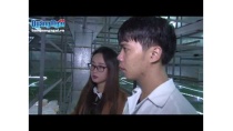 Khởi nghiệp Mô Hình Nuôi Trồng Nấm Đông Trùng Hạ Thảo tại Quảng Ngãi Khởi nghiệp Mô Hình Nuôi Trồng Nấm Đông Trùng Hạ Thảo tại Quảng Ngãi