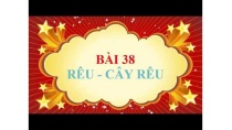 Sinh học lớp 6 - Bài 38 - Rêu - Cây rêu Sinh học lớp 6 - Bài 38 - Rêu - Cây rêu