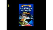 Hai Vạn Dặm Dưới Biển - 1 - Dải đá ngầm di động, Tán thành và phản đối, Xin tùy giáo sư Hai Vạn Dặm Dưới Biển - 1 - Dải đá ngầm di động, Tán thành và phản đối, Xin tùy giáo sư