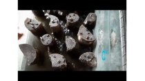 Chia sẻ kỹ thuật làm kinh tế nông nghiệp đô thị 2019 Chia sẻ kỹ thuật làm kinh tế nông nghiệp đô thị 2019
