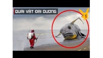 Những Quái Vật Đại Dương Huyền Bí và Nơi Tìm Ra Chúng Những Quái Vật Đại Dương Huyền Bí và Nơi Tìm Ra Chúng