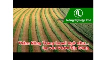 Thăm Nông Trang Israel ngỡ như... lạc vào Vườn Địa Đàng Thăm Nông Trang Israel ngỡ như... lạc vào Vườn Địa Đàng