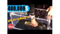 Nếu Bạn Kéo Được Thỏi Vàng Ra Ngoài Nó Là Của Bạn | 10 Chiến Dịch Quảng Cáo Sáng Tạo Và Hấp Dẫn Nhất Nếu Bạn Kéo Được Thỏi Vàng Ra Ngoài Nó Là Của Bạn | 10 Chiến Dịch Quảng Cáo Sáng Tạo Và Hấp Dẫn Nhất