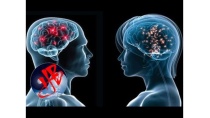 18 sự thật gây sốc về bộ não con người 18 sự thật gây sốc về bộ não con người