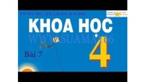 Khoa học lớp 4, Bài 7, Tại sao cần ăn phối hợp nhiều loại thức ăn, thuan mai, khoa học Khoa học lớp 4, Bài 7, Tại sao cần ăn phối hợp nhiều loại thức ăn, thuan mai, khoa học