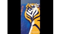 Tiger Beer Tiger Beer