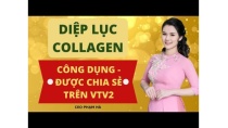 Diệp Lục Collagen Được Thầy Thuốc Ưu Tú Nguyễn Hồng Hải Chia Sẻ Trên Kênh VTV2 / Công dụng Diệp lục Diệp Lục Collagen Được Thầy Thuốc Ưu Tú Nguyễn Hồng Hải Chia Sẻ Trên Kênh VTV2 / Công dụng Diệp lục