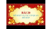 Sinh học lớp 8 - Bài 20 - Hô hấp và các cơ quan hô hấp Sinh học lớp 8 - Bài 20 - Hô hấp và các cơ quan hô hấp