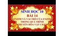 Sinh học lớp 10 - Bài 14 - Enzim và vai trò của enzim trong quá trình chuyển hóa vật chất Sinh học lớp 10 - Bài 14 - Enzim và vai trò của enzim trong quá trình chuyển hóa vật chất