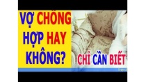 Xem tuổi chồng Quý Dậu 1993 vợ Quý Dậu 1993 Xem tuổi chồng Quý Dậu 1993 vợ Quý Dậu 1993