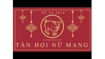 Tử vi 2018 tuổi Tân Hợi - 1971 nữ mạng Tử vi 2018 tuổi Tân Hợi - 1971 nữ mạng