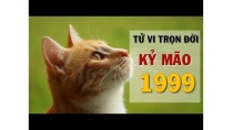 Tử Vi Kỷ Mão 1999 Trọn Đời - Tình Duyên, Công danh và sự nghiệp Tử Vi Kỷ Mão 1999 Trọn Đời - Tình Duyên, Công danh và sự nghiệp