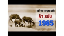 Tử Vi Ất Sửu 1985 Trọn Đời - Tình Duyên, Công danh và sự nghiệp Tử Vi Ất Sửu 1985 Trọn Đời - Tình Duyên, Công danh và sự nghiệp