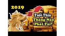 Tử Vi Tuổi THÌN 2019 Tháng Nào Bùng Phát Tài Lộc, Con Giáp Giàu Nhanh Chóng Mặt Tử Vi Tuổi THÌN 2019 Tháng Nào Bùng Phát Tài Lộc, Con Giáp Giàu Nhanh Chóng Mặt