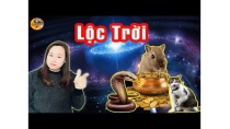 5 Con Giáp Sinh Ra Có Số Đại Gia - Ngồi Chơi Cũng Giàu NỨT ĐỐ ĐỔ VÁCH 5 Con Giáp Sinh Ra Có Số Đại Gia - Ngồi Chơi Cũng Giàu NỨT ĐỐ ĐỔ VÁCH