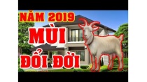 Tử Vi Tuổi Mùi 2019 Tài Lộc Công Danh Sự Nghiệp Tình Duyên Rực Rỡ Giàu Nhanh Như Chớp Tử Vi Tuổi Mùi 2019 Tài Lộc Công Danh Sự Nghiệp Tình Duyên Rực Rỡ Giàu Nhanh Như Chớp