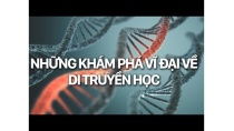 Những khám phá vĩ đại về di truyền học | Phim tài liệu khoa học (Thuyết Minh) Những khám phá vĩ đại về di truyền học | Phim tài liệu khoa học (Thuyết Minh)