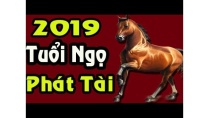 Tử Vi Tuổi Ngọ 2019 Thay Đổi Cuộc Đời Tài Lộc Phất Mạnh Trúng Số Liên Tục Tử Vi Tuổi Ngọ 2019 Thay Đổi Cuộc Đời Tài Lộc Phất Mạnh Trúng Số Liên Tục