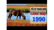 Tử Vi Canh Ngọ 1990 Trọn Đời - Tình Duyên, Công danh và sự nghiệp Tử Vi Canh Ngọ 1990 Trọn Đời - Tình Duyên, Công danh và sự nghiệp