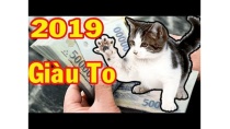 🙏 Sách Trời Đã Ghi Tử Vi 2019 Tuổi Mão Giàu Nhanh Như Chớp Trúng Số Độc Đắc Liên Tục 🙏 Sách Trời Đã Ghi Tử Vi 2019 Tuổi Mão Giàu Nhanh Như Chớp Trúng Số Độc Đắc Liên Tục
