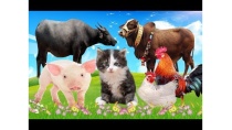 Dạy bé các con vật | bé đọc tên động vật rừng , nông trại | giúp bé phát triển tư duy # 24 Dạy bé các con vật | bé đọc tên động vật rừng , nông trại | giúp bé phát triển tư duy # 24