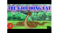 THẾ GIỚI ĐỘNG VẬT - Phim Hoạt Hình - Phim Hay 2019 ► Khoảnh Khắc Kỳ Diệu - Phim tình cảm gia đình THẾ GIỚI ĐỘNG VẬT - Phim Hoạt Hình - Phim Hay 2019 ► Khoảnh Khắc Kỳ Diệu - Phim tình cảm gia đình
