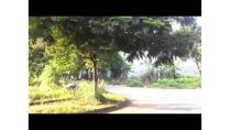 Bán đất khu đô thị An Huy Tại Bắc Ninh Bán đất khu đô thị An Huy Tại Bắc Ninh