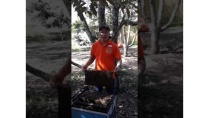Màn giới thiệu về ong bá đạo của anh hướng dẫn viên Phú Quốc :)) Màn giới thiệu về ong bá đạo của anh hướng dẫn viên Phú Quốc :))