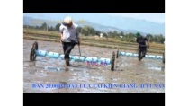 BÁN 20.000M ĐẤT LÚA TẠI KIÊN GIANG BÁN 20.000M ĐẤT LÚA TẠI KIÊN GIANG