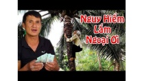 Trao Tiền Cho Cụ Già 77 Tuổi Leo Dừa Thuê Kiếm Sống - Trả 100tr/tháng tôi cũng ko dám làm nghề này Trao Tiền Cho Cụ Già 77 Tuổi Leo Dừa Thuê Kiếm Sống - Trả 100tr/tháng tôi cũng ko dám làm nghề này