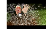 WORLD'S STRONGEST SPIDER WEB WORLD'S STRONGEST SPIDER WEB