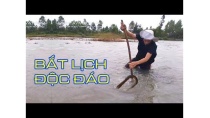 Cách Bắt Lịch Độc Đáo Có 1 không 2 | Khuyến Mãi Thêm 2 Con Cá Ngát Khổng Lồ Cách Bắt Lịch Độc Đáo Có 1 không 2 | Khuyến Mãi Thêm 2 Con Cá Ngát Khổng Lồ