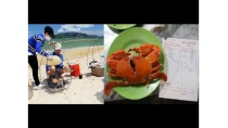 700.000 ngìn đồng/con ghẹ, du khách đến 1 lần không bao giờ quay lại 700.000 ngìn đồng/con ghẹ, du khách đến 1 lần không bao giờ quay lại