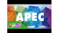 APEC 2017 và cơ hội cho Việt Nam | THDT APEC 2017 và cơ hội cho Việt Nam | THDT
