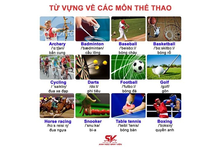 Bài luận tiếng Anh: Viết về môn thể thao yêu thích nhất của tôi. My ...